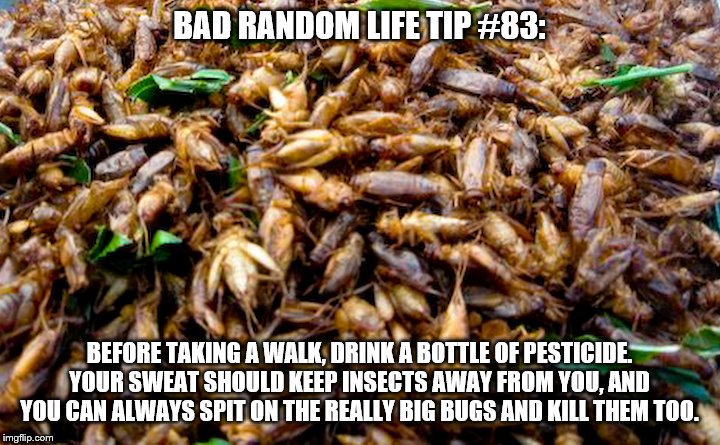 insects¨ | BAD RANDOM LIFE TIP #83:; BEFORE TAKING A WALK, DRINK A BOTTLE OF PESTICIDE. YOUR SWEAT SHOULD KEEP INSECTS AWAY FROM YOU, AND YOU CAN ALWAYS SPIT ON THE REALLY BIG BUGS AND KILL THEM TOO. | image tagged in insects | made w/ Imgflip meme maker