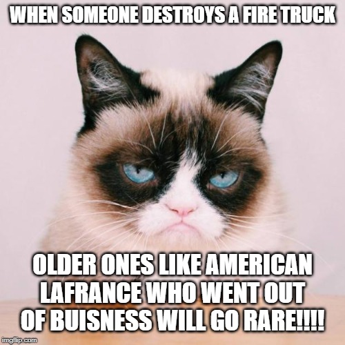grumpy cat again | WHEN SOMEONE DESTROYS A FIRE TRUCK; OLDER ONES LIKE AMERICAN LAFRANCE WHO WENT OUT OF BUISNESS WILL GO RARE!!!! | image tagged in grumpy cat again | made w/ Imgflip meme maker