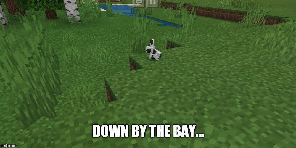 Down by the bay | DOWN BY THE BAY... | image tagged in minecraft,rabbit | made w/ Imgflip meme maker