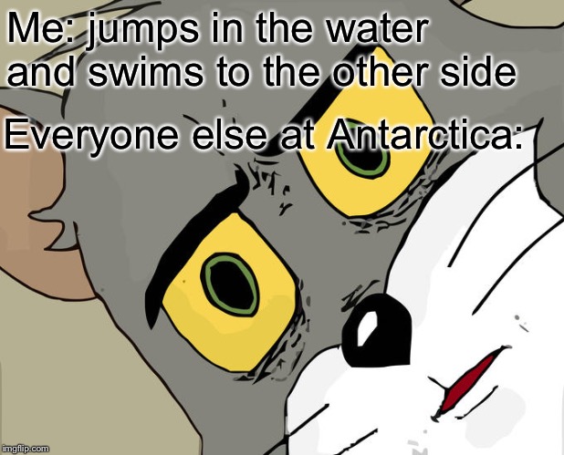 It’s cold | Me: jumps in the water and swims to the other side; Everyone else at Antarctica: | image tagged in memes,unsettled tom,antarctica,funny,water,swimming | made w/ Imgflip meme maker