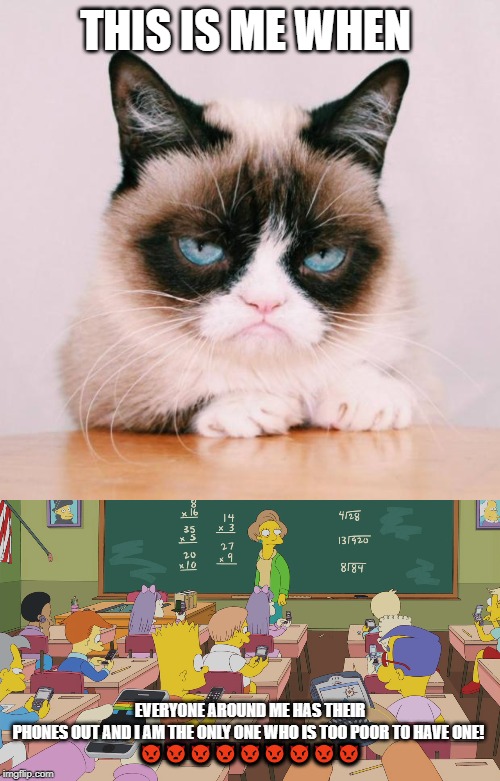 THIS IS ME WHEN; EVERYONE AROUND ME HAS THEIR PHONES OUT AND I AM THE ONLY ONE WHO IS TOO POOR TO HAVE ONE! 
👿👿👿👿👿👿👿👿👿 | image tagged in grumpy cat again,cell phones in classroom | made w/ Imgflip meme maker