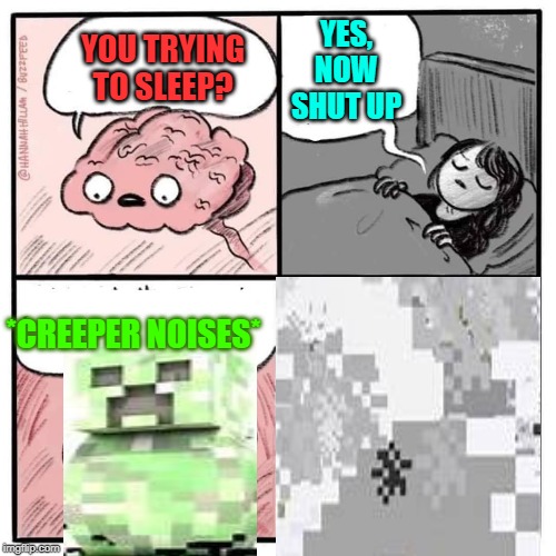 Are you sleeping brain  | YES, NOW SHUT UP; YOU TRYING TO SLEEP? *CREEPER NOISES* | image tagged in are you sleeping brain | made w/ Imgflip meme maker