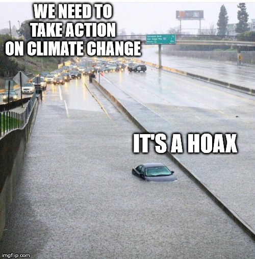 Independent drinker | WE NEED TO TAKE ACTION ON CLIMATE CHANGE; IT'S A HOAX | image tagged in car in the flood,climate change,global warming,hoax | made w/ Imgflip meme maker