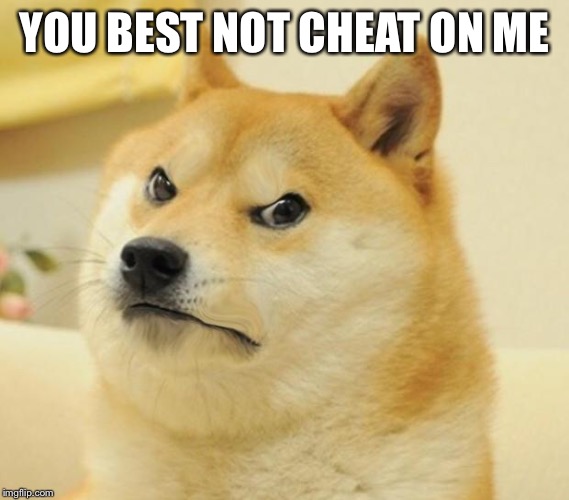 Mad doge | YOU BEST NOT CHEAT ON ME | image tagged in mad doge | made w/ Imgflip meme maker