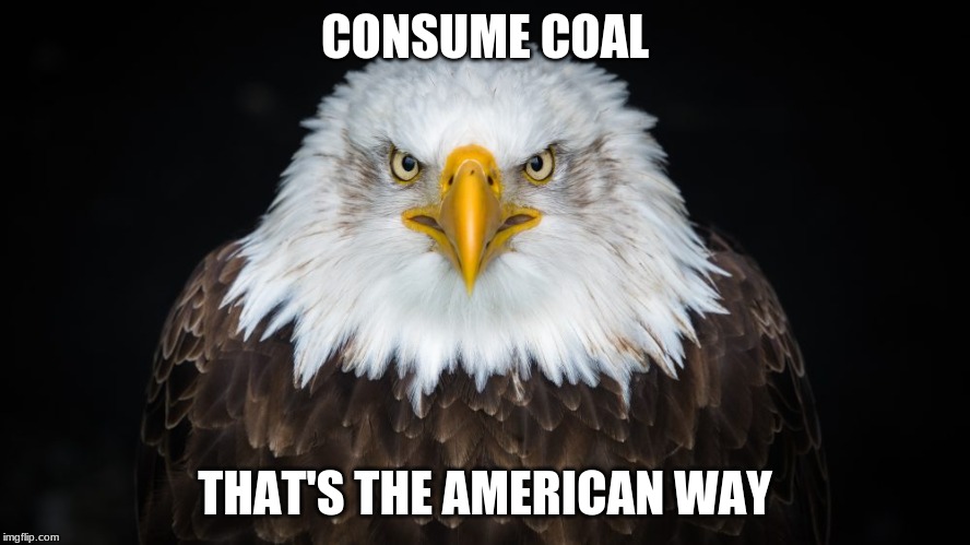 The American Way | CONSUME COAL; THAT'S THE AMERICAN WAY | image tagged in eagle,pollution | made w/ Imgflip meme maker