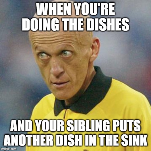 Are you serious? (Football) | WHEN YOU'RE DOING THE DISHES; AND YOUR SIBLING PUTS ANOTHER DISH IN THE SINK | image tagged in are you serious football | made w/ Imgflip meme maker
