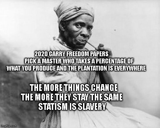 slave lady | 2020 CARRY FREEDOM PAPERS         
    PICK A MASTER WHO TAKES A PERCENTAGE OF WHAT YOU PRODUCE AND THE PLANTATION IS EVERYWHERE; THE MORE THINGS CHANGE THE MORE THEY STAY THE SAME          STATISM IS SLAVERY | image tagged in slave lady | made w/ Imgflip meme maker