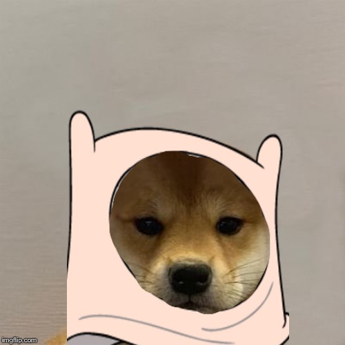 Dogwiffinnhat | image tagged in finn the human,dogwifhatgang,memes | made w/ Imgflip meme maker