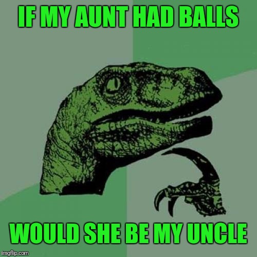 Philosoraptor Meme | IF MY AUNT HAD BALLS; WOULD SHE BE MY UNCLE | image tagged in memes,philosoraptor | made w/ Imgflip meme maker