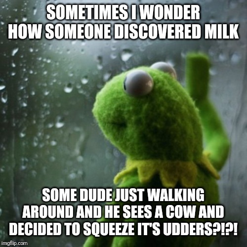 sometimes I wonder  | SOMETIMES I WONDER HOW SOMEONE DISCOVERED MILK; SOME DUDE JUST WALKING AROUND AND HE SEES A COW AND DECIDED TO SQUEEZE IT'S UDDERS?!?! | image tagged in sometimes i wonder | made w/ Imgflip meme maker