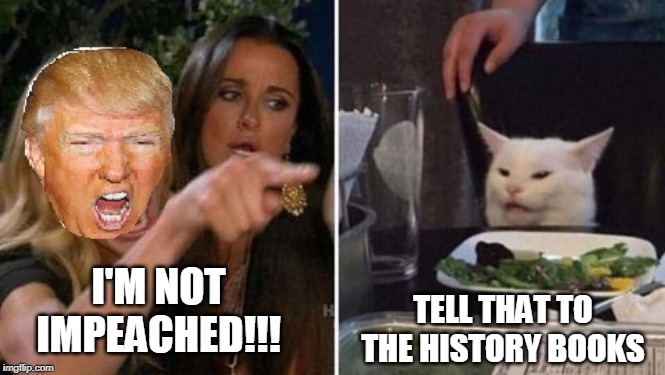 history has been made | I'M NOT IMPEACHED!!! TELL THAT TO THE HISTORY BOOKS | image tagged in donald trump | made w/ Imgflip meme maker