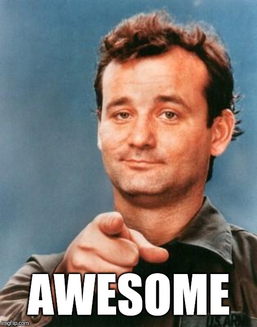 Bill Murray You're Awesome | AWESOME | image tagged in bill murray you're awesome | made w/ Imgflip meme maker