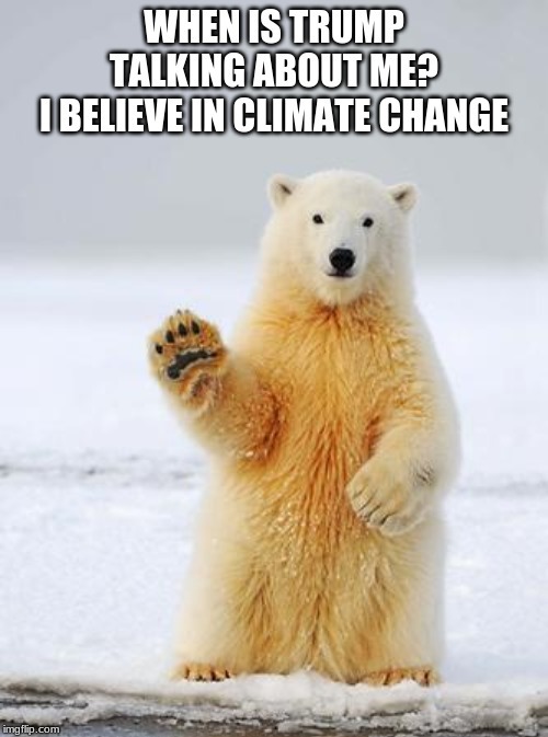 Polar Bear in Distress | image tagged in polar bear,climate change | made w/ Imgflip meme maker