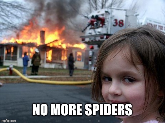 Disaster Girl | NO MORE SPIDERS | image tagged in memes,disaster girl | made w/ Imgflip meme maker