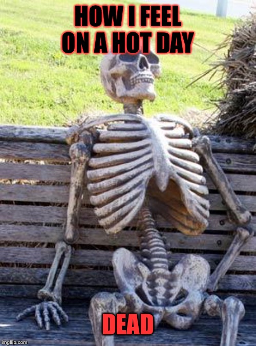 Waiting Skeleton | HOW I FEEL ON A HOT DAY; DEAD | image tagged in memes,waiting skeleton | made w/ Imgflip meme maker
