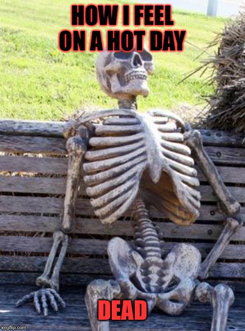 Waiting Skeleton Meme | HOW I FEEL ON A HOT DAY; DEAD | image tagged in memes,waiting skeleton | made w/ Imgflip meme maker