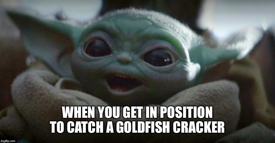 WHEN YOU GET IN POSITION TO CATCH A GOLDFISH CRACKER | image tagged in baby yoda | made w/ Imgflip meme maker