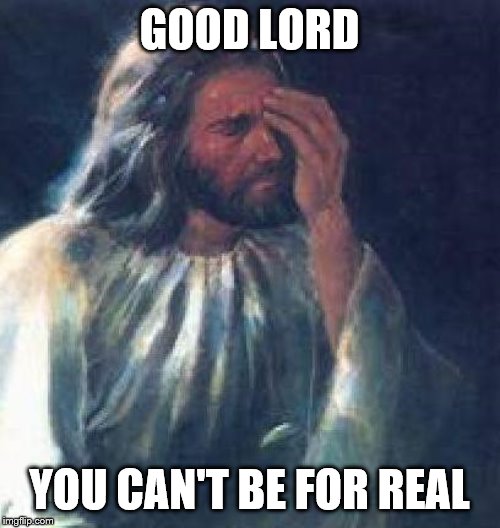 jesus facepalm | GOOD LORD YOU CAN'T BE FOR REAL | image tagged in jesus facepalm | made w/ Imgflip meme maker