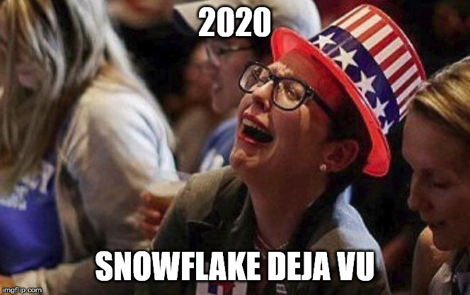 Crying Liberal | 2020; SNOWFLAKE DEJA VU | image tagged in crying liberal | made w/ Imgflip meme maker