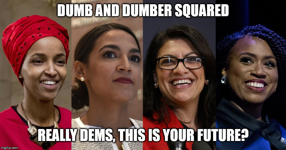 Squad | DUMB AND DUMBER SQUARED; REALLY DEMS, THIS IS YOUR FUTURE? | image tagged in squad | made w/ Imgflip meme maker