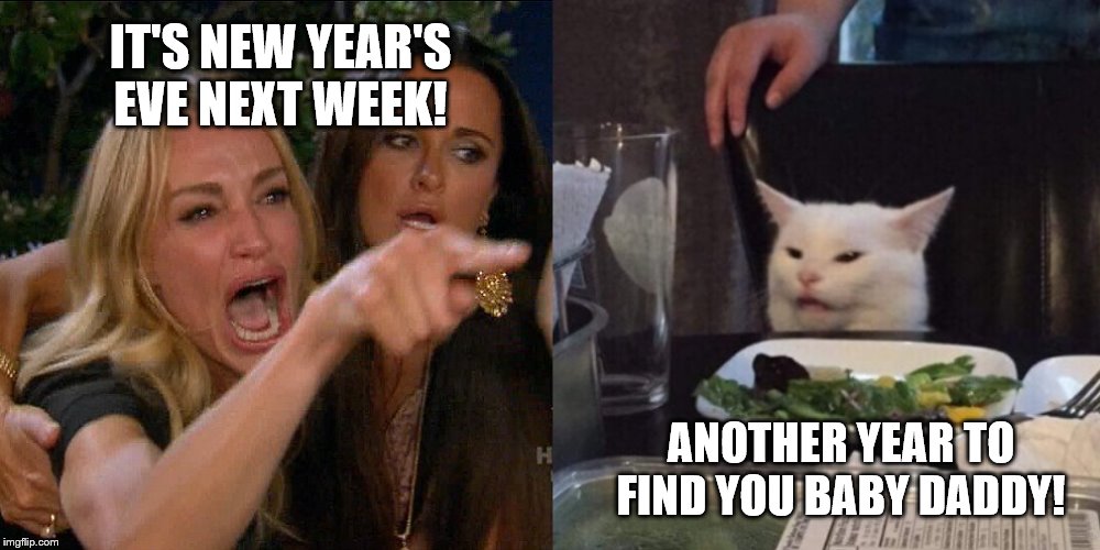 Woman yelling at cat | IT'S NEW YEAR'S EVE NEXT WEEK! ANOTHER YEAR TO FIND YOU BABY DADDY! | image tagged in woman yelling at cat | made w/ Imgflip meme maker