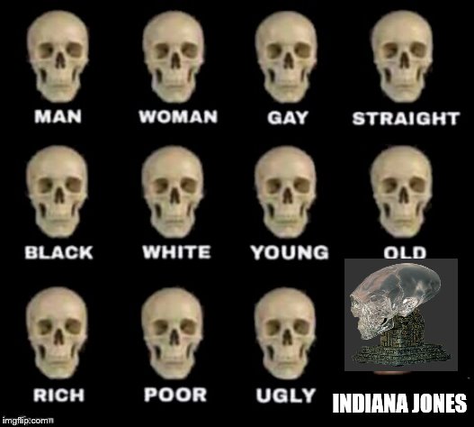 idiot skull | INDIANA JONES | image tagged in idiot skull | made w/ Imgflip meme maker