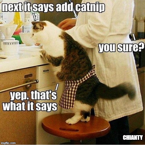 Catnip | CHIANTY | image tagged in are you sure | made w/ Imgflip meme maker