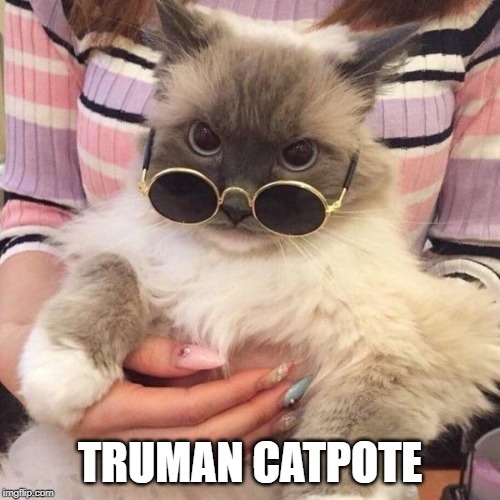 TRUMAN CATPOTE | image tagged in cats,funny,totally looks like,actor | made w/ Imgflip meme maker