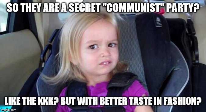 wtf girl | SO THEY ARE A SECRET "COMMUNIST" PARTY? LIKE THE KKK? BUT WITH BETTER TASTE IN FASHION? | image tagged in wtf girl | made w/ Imgflip meme maker
