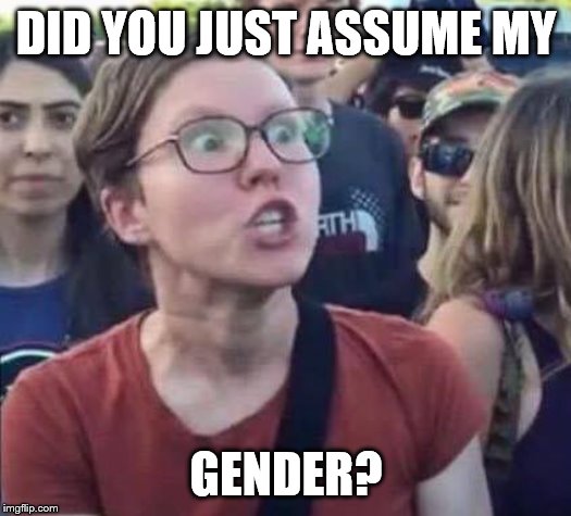 Angry Liberal | DID YOU JUST ASSUME MY GENDER? | image tagged in angry liberal | made w/ Imgflip meme maker
