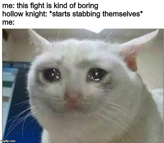 crying cat | me: this fight is kind of boring
hollow knight: *starts stabbing themselves*
me: | image tagged in crying cat | made w/ Imgflip meme maker