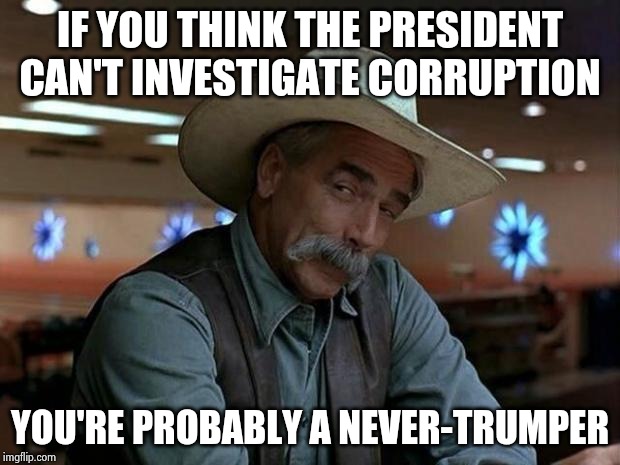 special kind of stupid | IF YOU THINK THE PRESIDENT CAN'T INVESTIGATE CORRUPTION YOU'RE PROBABLY A NEVER-TRUMPER | image tagged in special kind of stupid | made w/ Imgflip meme maker