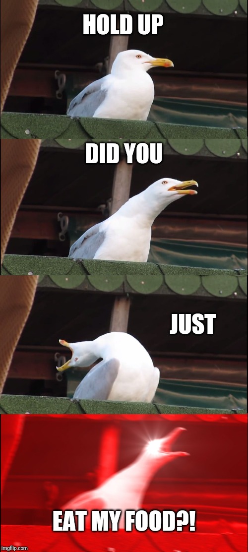 Don't mess with people who LOVE food | HOLD UP; DID YOU; JUST; EAT MY FOOD?! | image tagged in memes,inhaling seagull | made w/ Imgflip meme maker