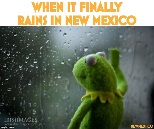 kermit window | WHEN IT FINALLY RAINS IN NEW MEXICO; NEWMEXI.CO | image tagged in kermit window | made w/ Imgflip meme maker