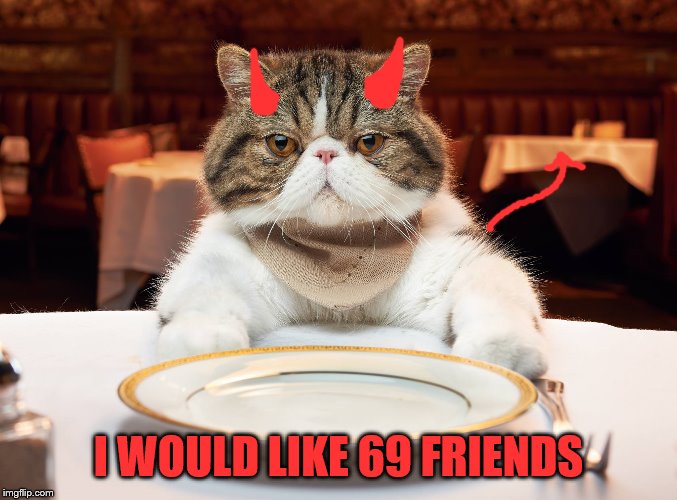 hungry cat | I WOULD LIKE 69 FRIENDS | image tagged in hungry cat | made w/ Imgflip meme maker