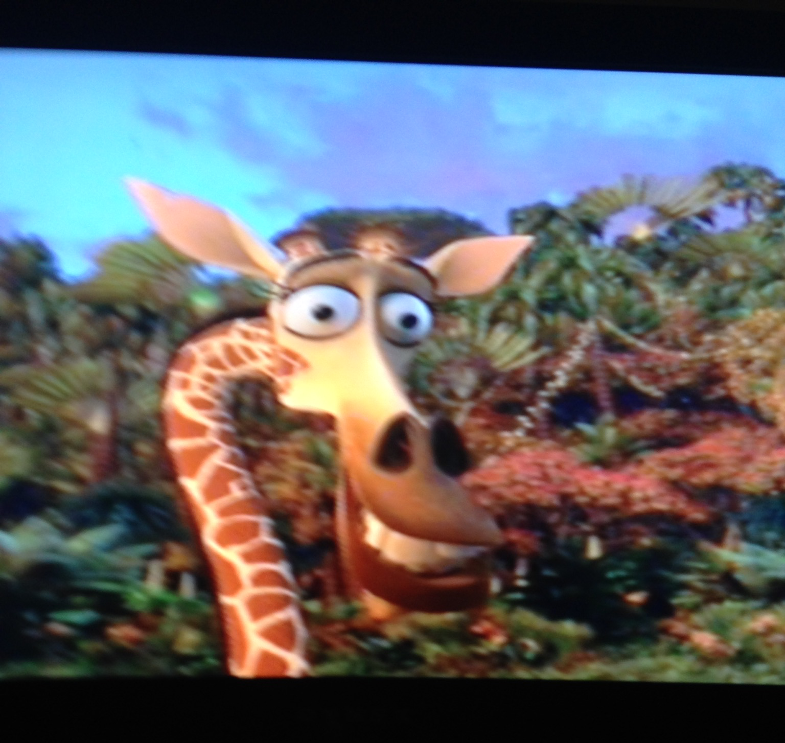 Melman Blank Meme Template