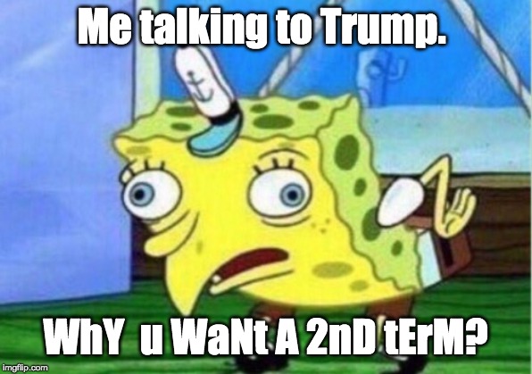 Mocking Spongebob Meme | Me talking to Trump. WhY  u WaNt A 2nD tErM? | image tagged in memes,mocking spongebob | made w/ Imgflip meme maker