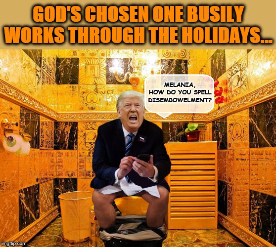 God's Busy Little Bee.... | GOD'S CHOSEN ONE BUSILY WORKS THROUGH THE HOLIDAYS... MELANIA, HOW DO YOU SPELL
DISEMBOWELMENT? | image tagged in donald trump,impeach trump,trump is a moron,dude you're an idiot,trump tweet | made w/ Imgflip meme maker