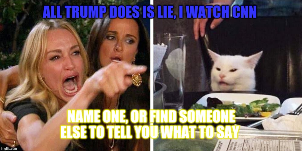 Smudge the cat | ALL TRUMP DOES IS LIE, I WATCH CNN; NAME ONE, OR FIND SOMEONE ELSE TO TELL YOU WHAT TO SAY | image tagged in smudge the cat | made w/ Imgflip meme maker