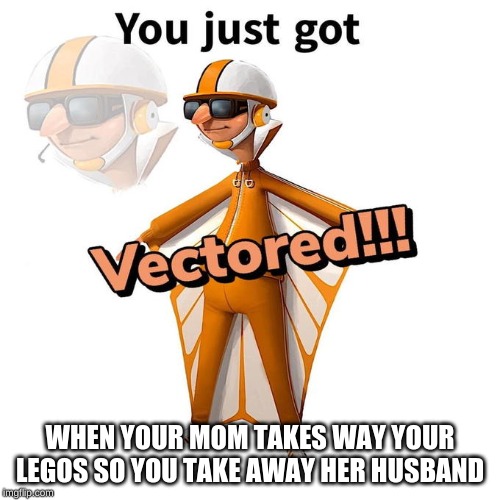 You just got Vectored | WHEN YOUR MOM TAKES WAY YOUR LEGOS SO YOU TAKE AWAY HER HUSBAND | image tagged in you just got vectored | made w/ Imgflip meme maker