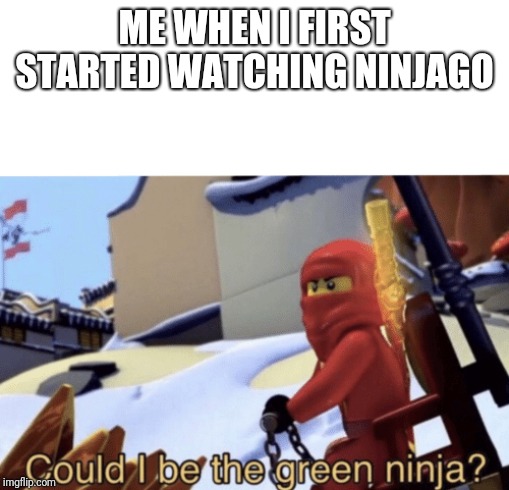 Could I Be The Green Ninja? | ME WHEN I FIRST STARTED WATCHING NINJAGO | image tagged in could i be the green ninja | made w/ Imgflip meme maker