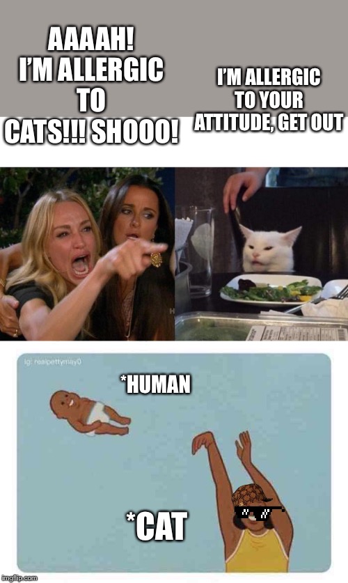 I’M ALLERGIC TO YOUR ATTITUDE, GET OUT; AAAAH! I’M ALLERGIC TO CATS!!! SHOOO! *HUMAN; *CAT | image tagged in mom throwing baby,memes,woman yelling at cat | made w/ Imgflip meme maker