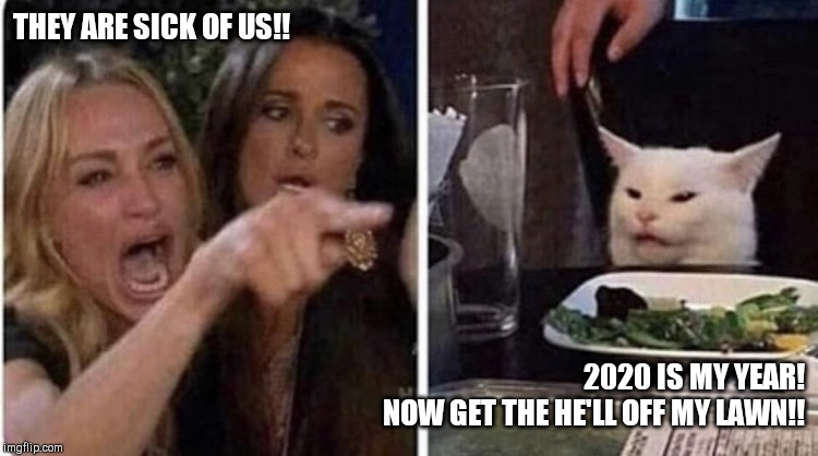 Confused Cat, screaming lady | THEY ARE SICK OF US!! 2020 IS MY YEAR!
NOW GET THE HE'LL OFF MY LAWN!! | image tagged in confused cat screaming lady | made w/ Imgflip meme maker