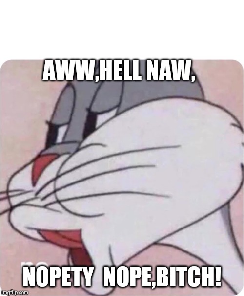 Bugs Bunny No | AWW,HELL NAW, NOPETY  NOPE,BITCH! | image tagged in bugs bunny no | made w/ Imgflip meme maker