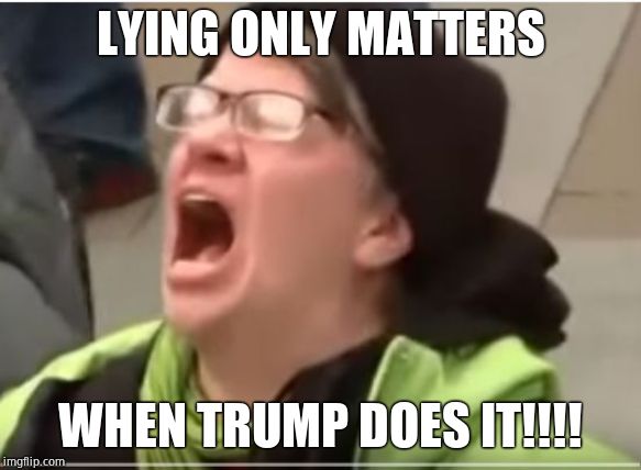 Screaming Liberal | LYING ONLY MATTERS WHEN TRUMP DOES IT!!!! | image tagged in screaming liberal | made w/ Imgflip meme maker