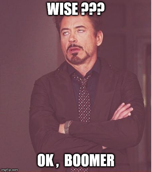 Face You Make Robert Downey Jr Meme | WISE ??? OK ,  BOOMER | image tagged in memes,face you make robert downey jr | made w/ Imgflip meme maker
