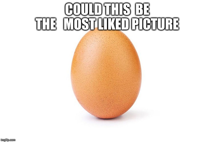 egg | COULD THIS  BE THE   MOST LIKED PICTURE | image tagged in eggs | made w/ Imgflip meme maker