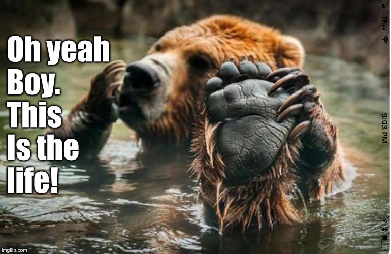 Oh yeah
Boy. 
This 
Is the
life! | made w/ Imgflip meme maker