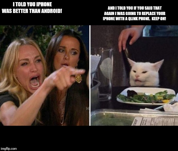 Crying Woman vs Cat | AND I TOLD YOU IF YOU SAID THAT AGAIN I WAS GOING TO REPLACE YOUR IPHONE WITH A QLINK PHONE.  KEEP ON! I TOLD YOU IPHONE WAS BETTER THAN ANDROID! | image tagged in crying woman vs cat | made w/ Imgflip meme maker