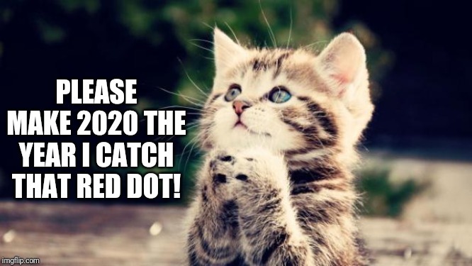 Cute kitten | PLEASE MAKE 2020 THE YEAR I CATCH THAT RED DOT! | image tagged in cute kitten | made w/ Imgflip meme maker